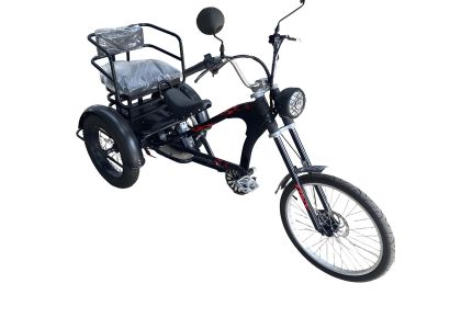 What kind of electric tricycle do you all want?