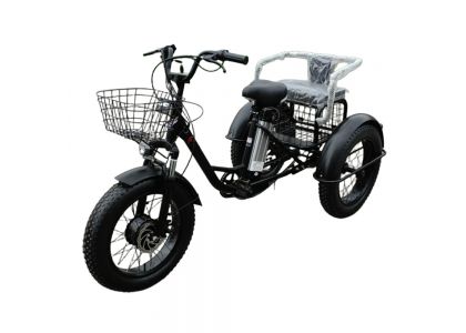 Elektro-Schneetrikes: Ein praktisches Fortbewegungsmittel für Europas Winterlandschaften