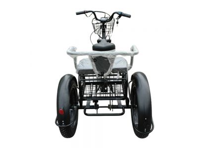 Types of Electric Tricycles Popular in Europe, the U.S., and Australia