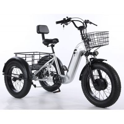 20 inch electric tricycle 500W 48V 12AH cargo/utilities Aluminum Alloy Frame Fat tire E-Trike for seniors