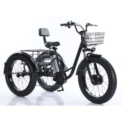 20 inch Heavy-Duty Electric Trike 350W 48V Seniors/Delivery 140kg Capacity Cago E-Tricycle