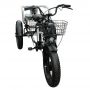 20 inch heavy duty electric cargo tricycle manned 350W 48V electric tricycle E-trike Passenger with Rear Seat