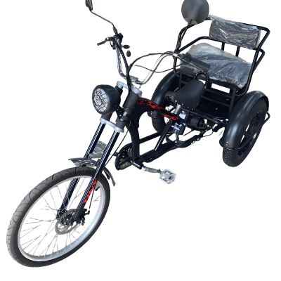 ‌Adult Electric Tricycle 350W Motor 20 inch 24 inch Wheels 35km Range Cargo/Commuter‌ 48V 12Ah E-Trike