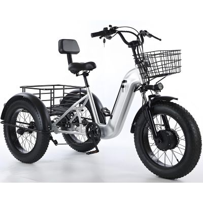 20 Zoll Fat Tire Elektro-Dreirad 500W 48V 12Ah Cargo Utility E-Trike 40km Reichw
